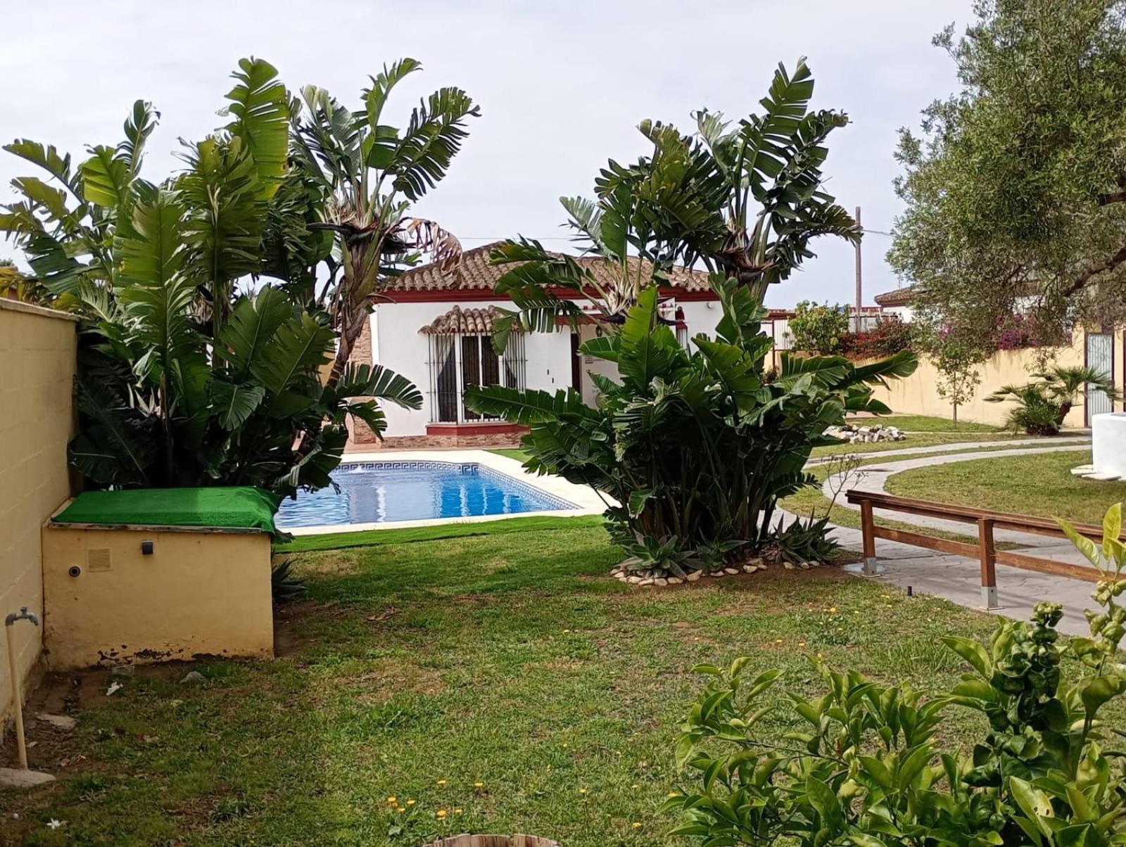 Pura Vida * Chiclana de la Frontera