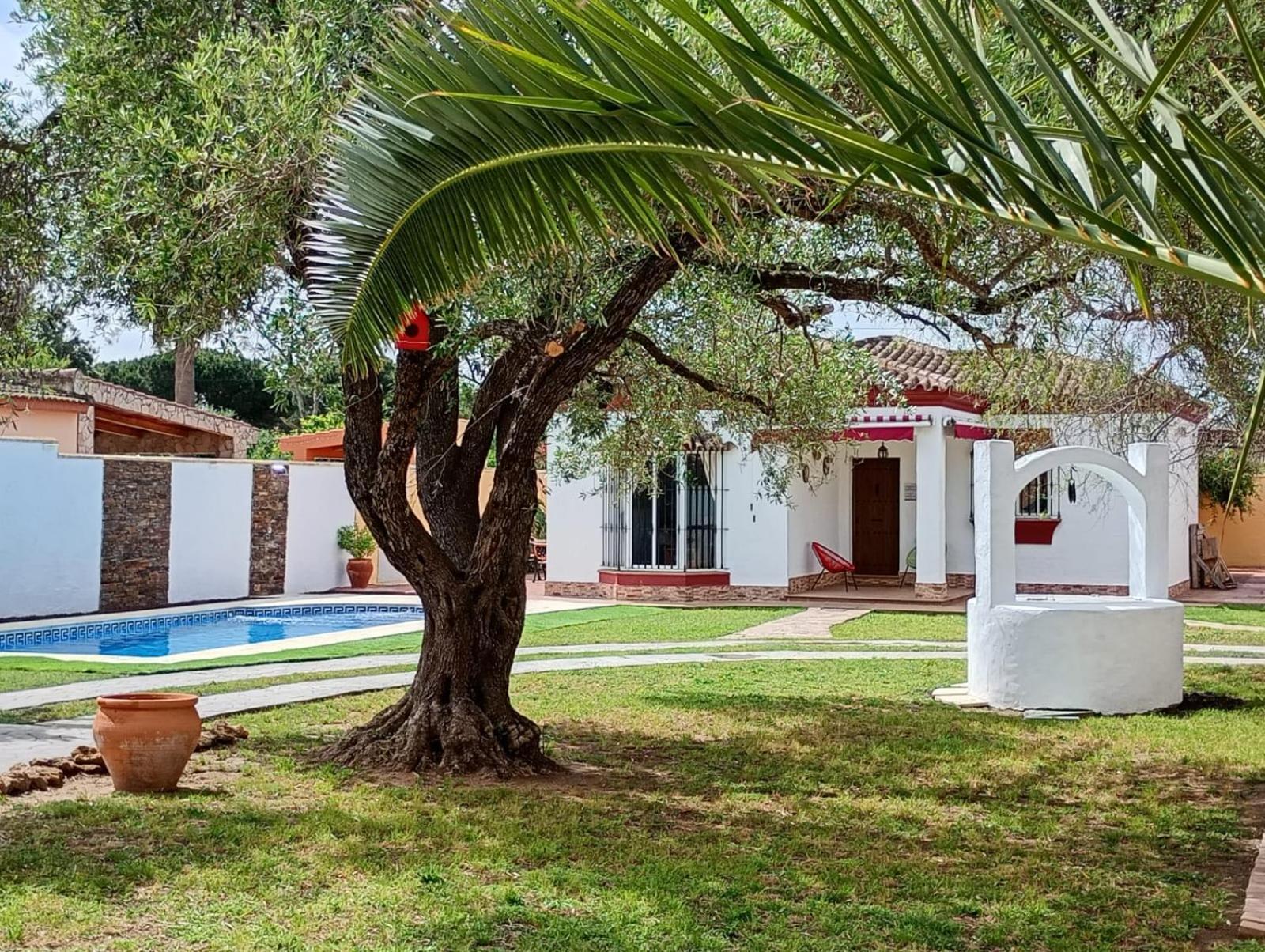 Chalet Pura Vida *